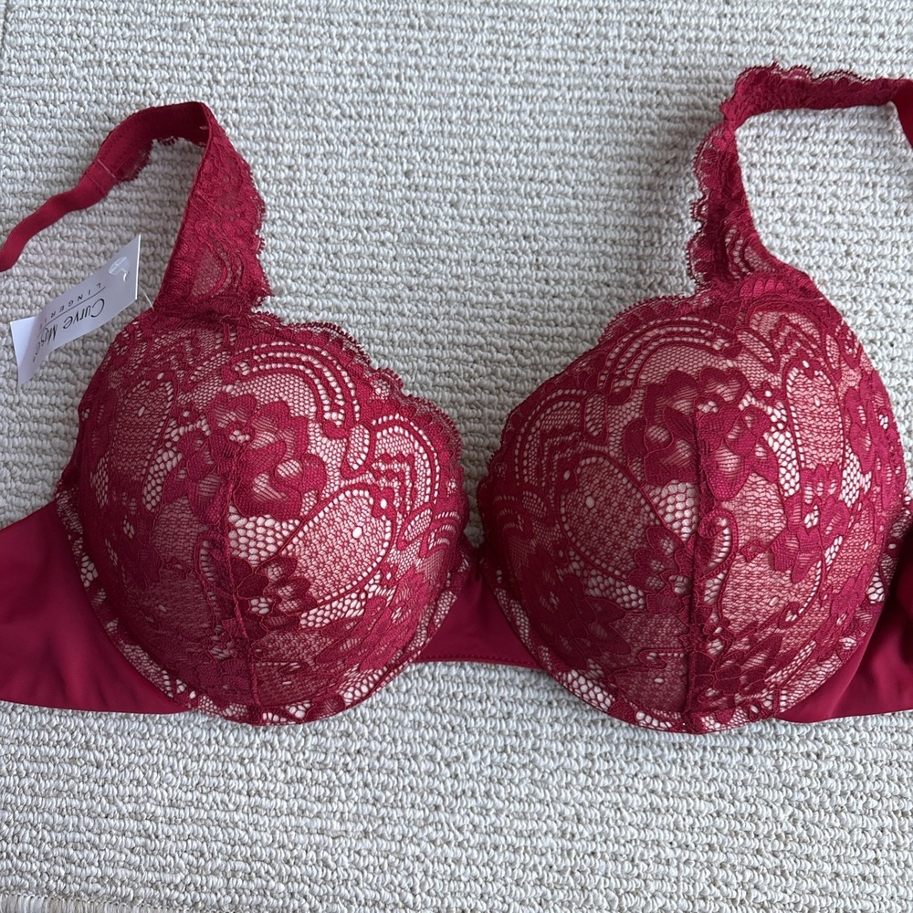 New Curve Muse Dark Red Lace push up Padded Underwire Sexy Bra Size 38D